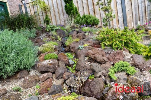 Gorssel Open Tuindag 2025