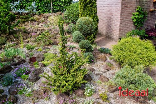 Gorssel Open Tuindag 2025