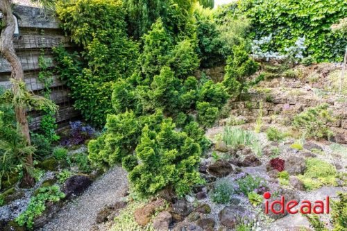 Gorssel Open Tuindag 2025