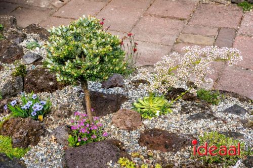 Gorssel Open Tuindag 2025