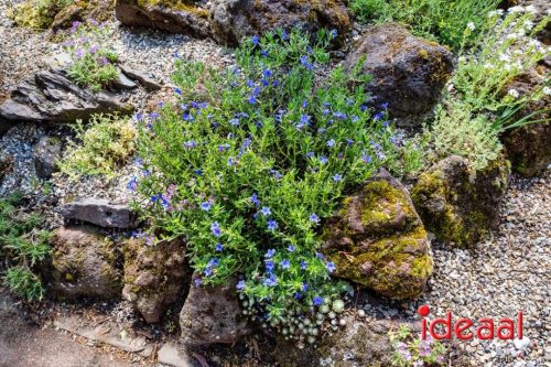 Gorssel Open Tuindag 2025