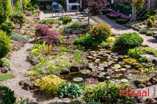 Gorssel Open Tuindag 2025