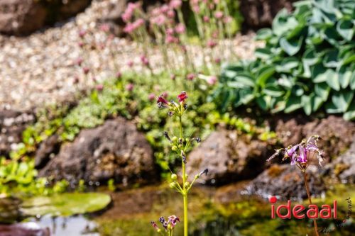 Gorssel Open Tuindag 2025