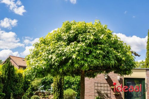 Gorssel Open Tuindag 2025