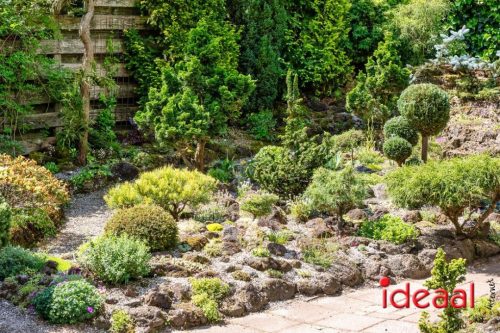 Gorssel Open Tuindag 2025