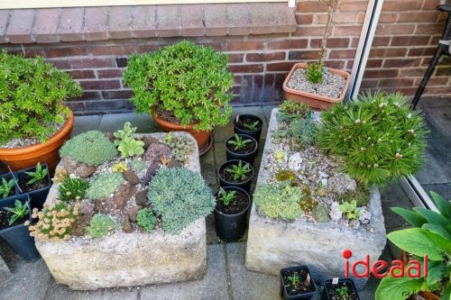 Open Tuin dag Gorssel (17-05-2025)