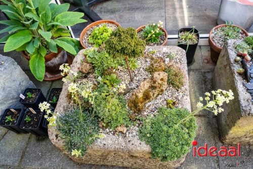 Gorssel Open Tuindag 2025