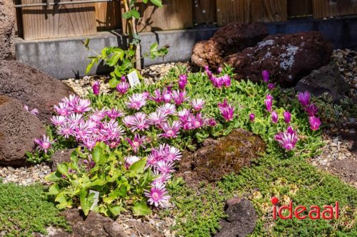 Gorssel Open Tuindag 2025