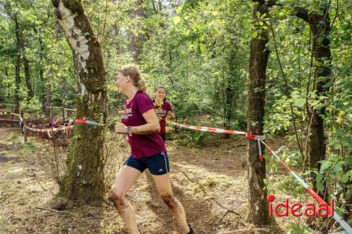 Eefde Obstacle Run Bootcamp 2025