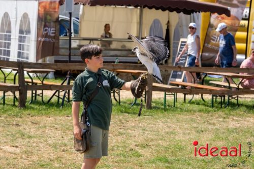 Farm en Country Fair 2025