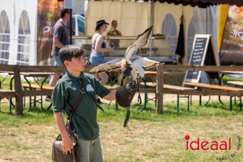 Farm en Country Fair 2025