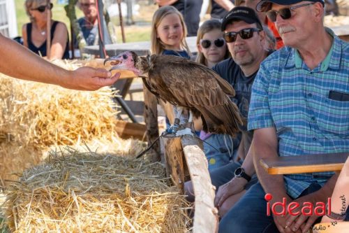 Farm en Country Fair 2025
