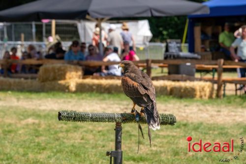 Farm en Country Fair 2025