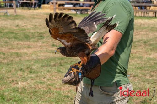 Farm en Country Fair 2025