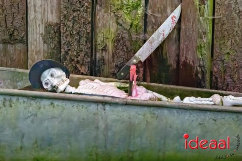 Farm en Country Fair 2025