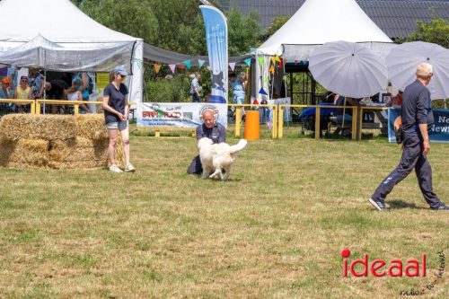 Farm en Country Fair 2025