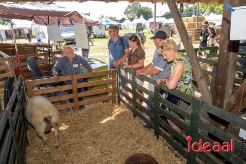 Farm en Country Fair 2025