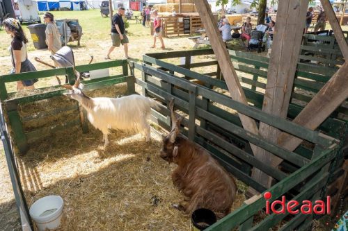 Farm en Country Fair 2025