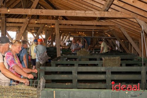 Farm en Country Fair 2025