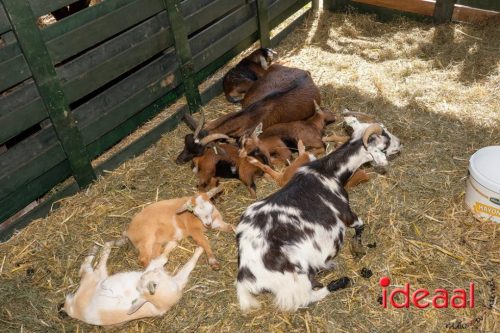 Farm en Country Fair 2025