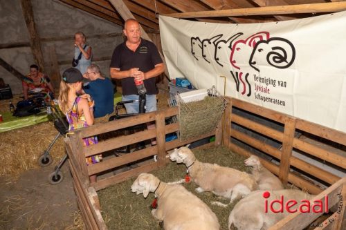 Farm en Country Fair 2025