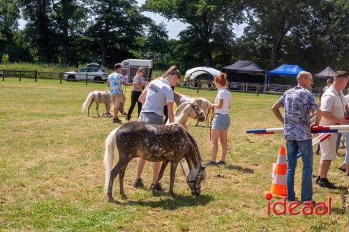 Farm en Country Fair 2025