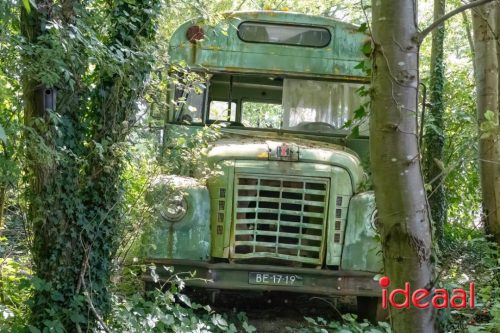 Farm en Country Fair 2025