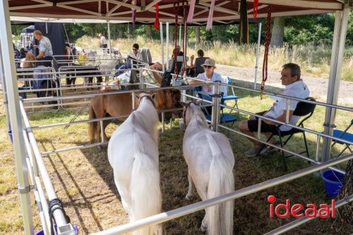 Farm en Country Fair 2025