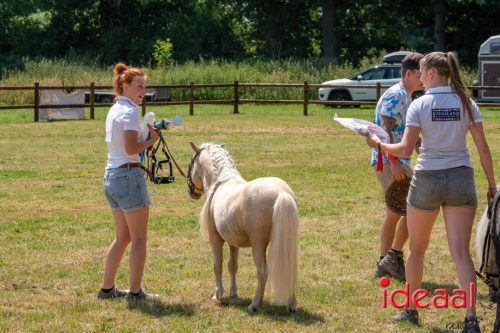Farm en Country Fair 2025