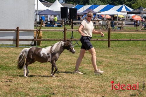 Farm en Country Fair 2025