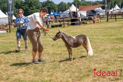 Farm en Country Fair 2025