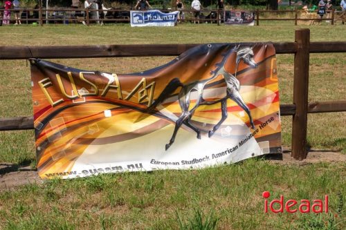 Farm en Country Fair 2025