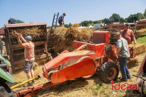 Farm en Country Fair 2025