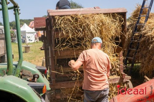Farm en Country Fair 2025
