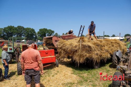 Farm en Country Fair 2025