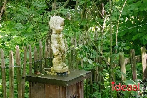 Farm en Country Fair 2025