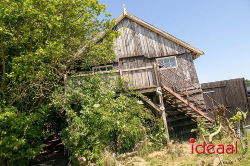 Farm en Country Fair 2025