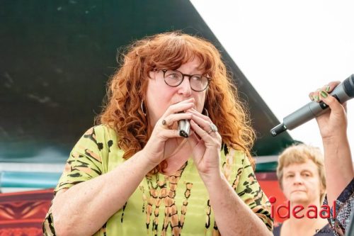 Borculo 5e editie Kleintje Woodstock