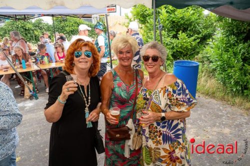 Borculo 5e editie Kleintje Woodstock