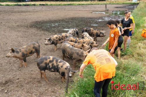 Warnsveld Buddy Obstacle Run 2025
