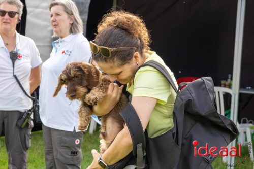 Warnsveld Buddy Obstacle Run 2025