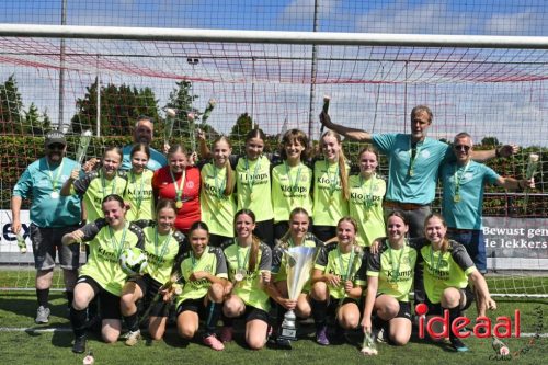 Achterhoek Cup Finale (28-06-2025)