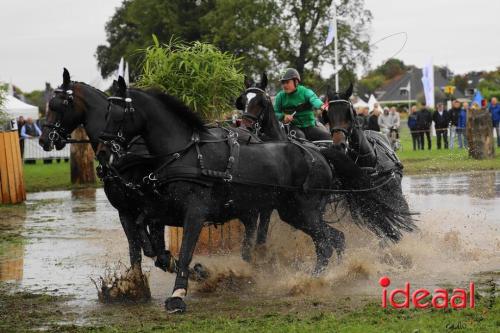 Marathon dicipline bij de Hietmaat in Hengelo - deel 1 (08-10-2023)