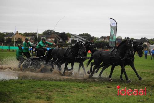 Marathon dicipline bij de Hietmaat in Hengelo - deel 1 (08-10-2023)