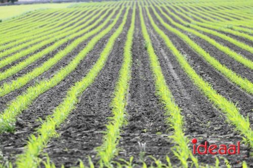 IRRC Roadraces- deel 2 (18-05-2025)