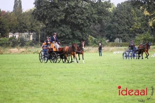 Dressuurdag bij De Hietmaat in Hengelo (07-10-2023)