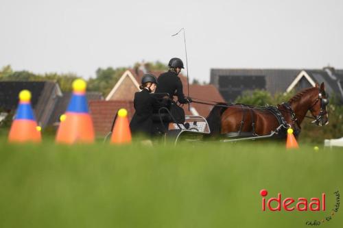 Dressuurdag bij De Hietmaat in Hengelo (07-10-2023)