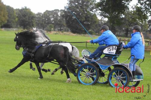Marathon dicipline bij de Hietmaat in Hengelo - deel 1 (08-10-2023)