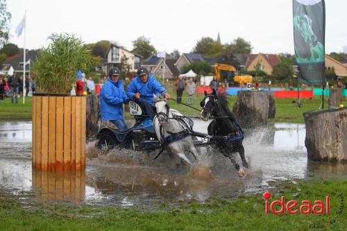Marathon dicipline bij de Hietmaat in Hengelo - deel 1 (08-10-2023)