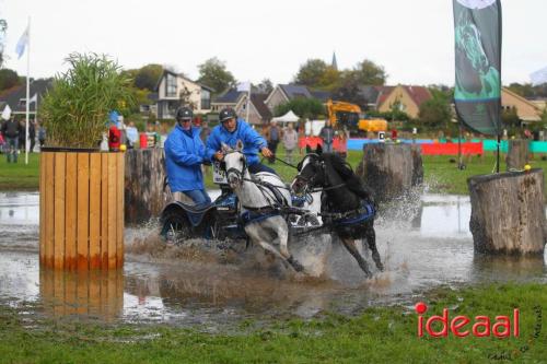 Marathon dicipline bij de Hietmaat in Hengelo - deel 1 (08-10-2023)
